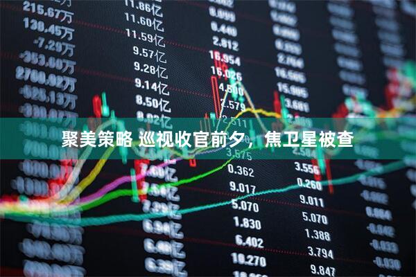 聚美策略 巡视收官前夕，焦卫星被查