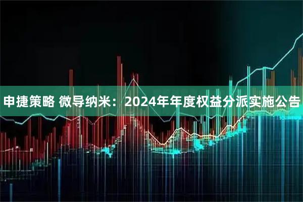 申捷策略 微导纳米：2024年年度权益分派实施公告