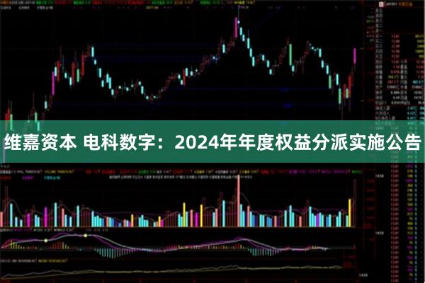 维嘉资本 电科数字：2024年年度权益分派实施公告