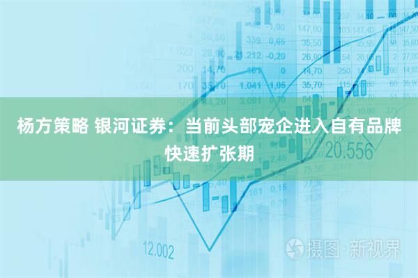 杨方策略 银河证券：当前头部宠企进入自有品牌快速扩张期
