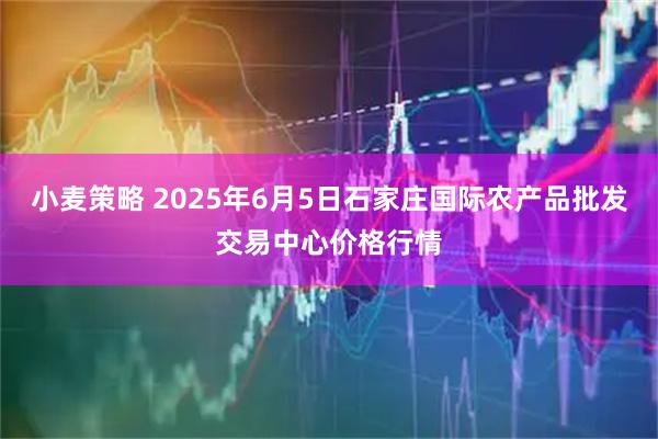 小麦策略 2025年6月5日石家庄国际农产品批发交易中心价格行情