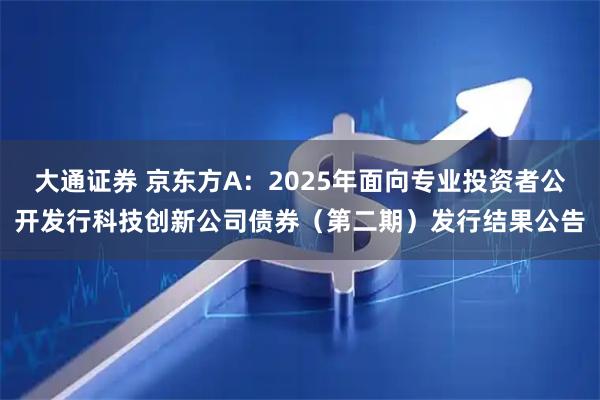 大通证券 京东方A：2025年面向专业投资者公开发行科技创新公司债券（第二期）发行结果公告