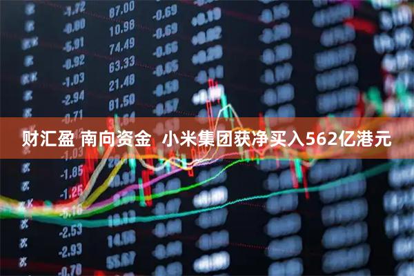 财汇盈 南向资金 小米集团获净买入562亿港元